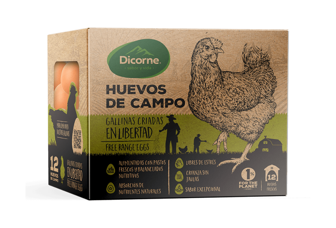 12 Free-Range Eggs