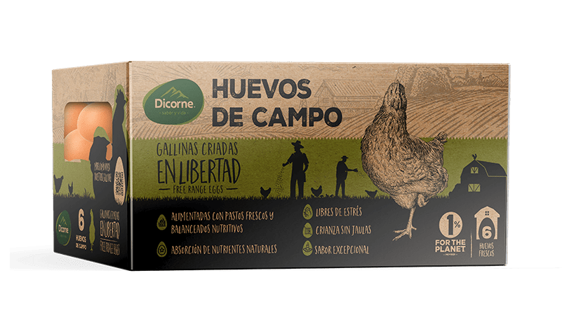 6 Free-Range Eggs